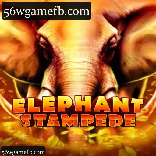 ElephantStampede